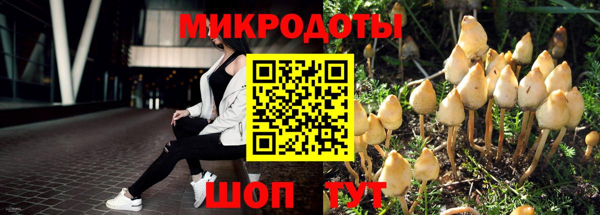 Бугульма  Псилоцибиновые грибы Psilocybe  Вход с VPN  как найти наркотики  Псилоцибиновые грибы MAGIC MUSHROOMS 